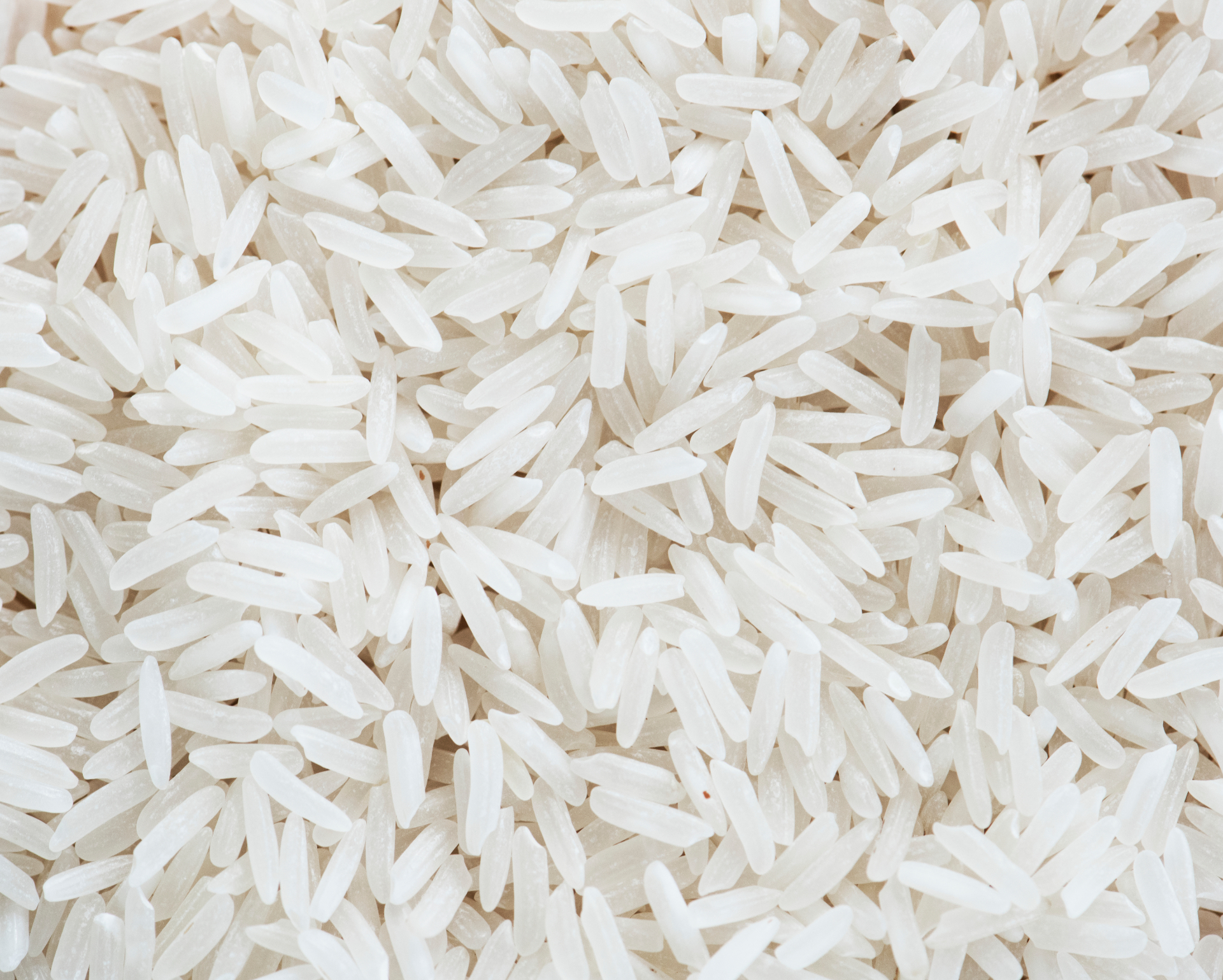 American Calrose Medium Grain Rice